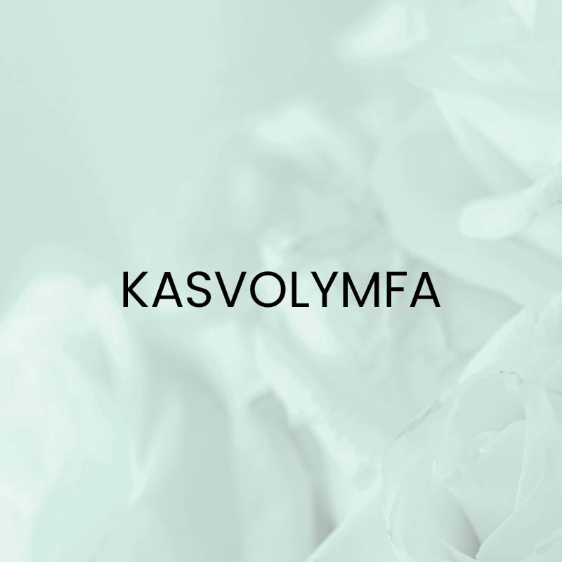 Kasvolymfa - lahjakortti