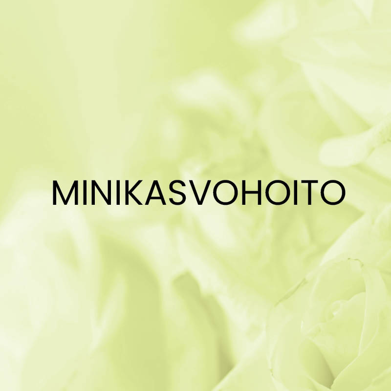 Minikasvohoito - lahjakortti